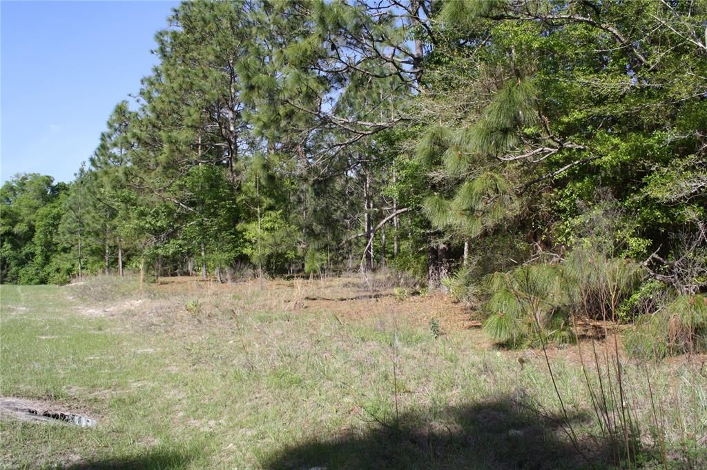 Recently Sold: $30,000 (2.28 acres)