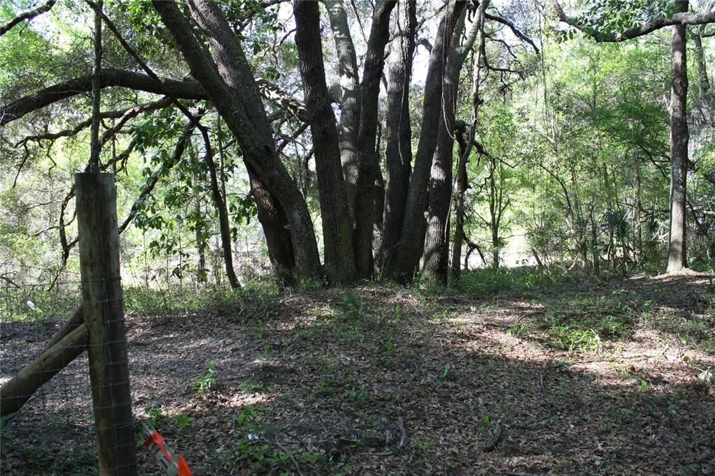 Recently Sold: $30,000 (2.28 acres)