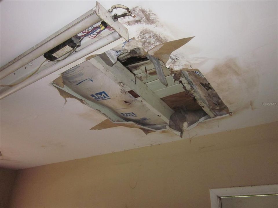 WATER DAMAGE TO DEN CEILING