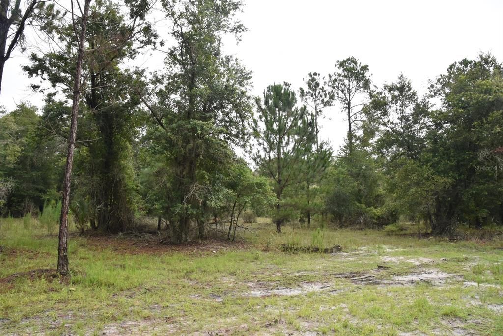 Recently Sold: $114,000 (21.04 acres)