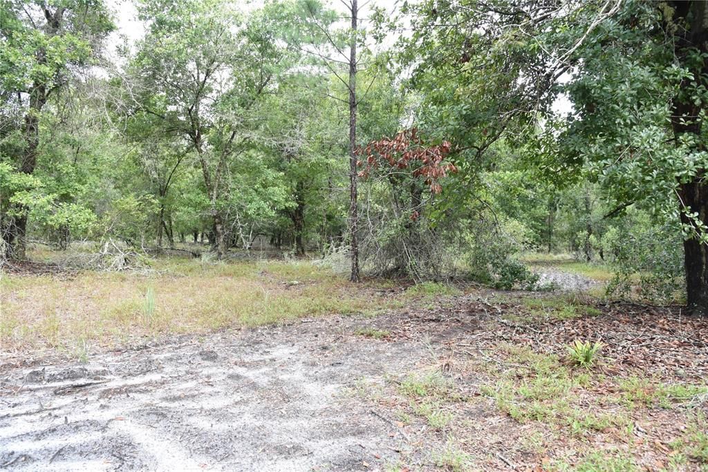 Recently Sold: $114,000 (21.04 acres)