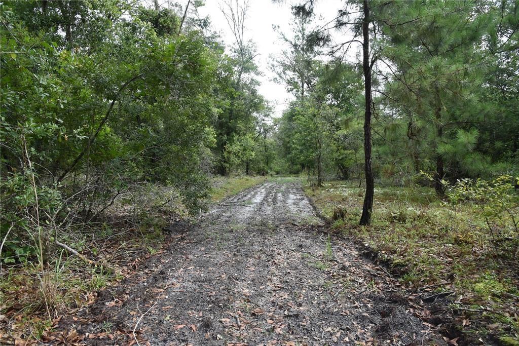 Recently Sold: $114,000 (21.04 acres)