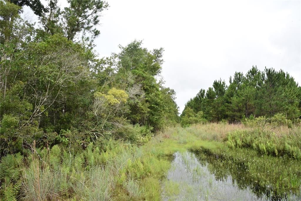 Recently Sold: $114,000 (21.04 acres)