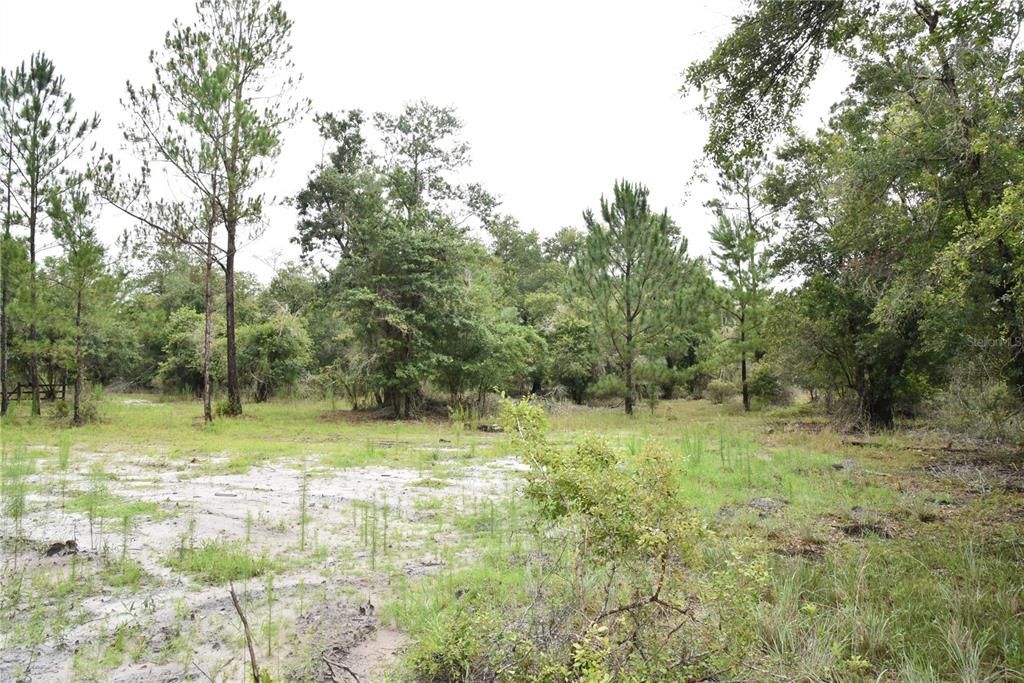 Recently Sold: $114,000 (21.04 acres)
