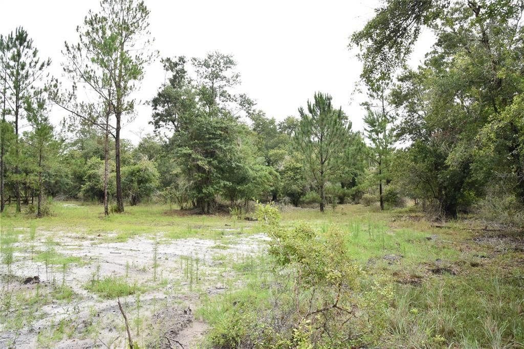 Vendido Recientemente: $114,000 (21.04 acres)