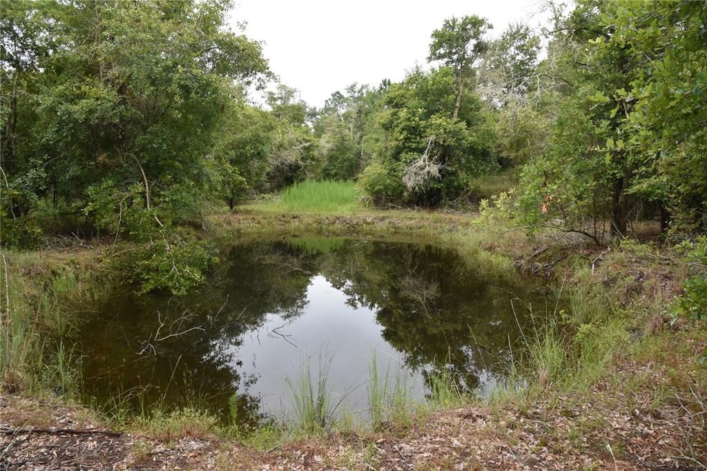 Vendido Recientemente: $114,000 (21.04 acres)