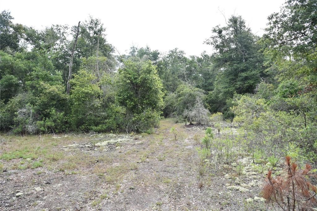 Vendido Recientemente: $114,000 (21.04 acres)