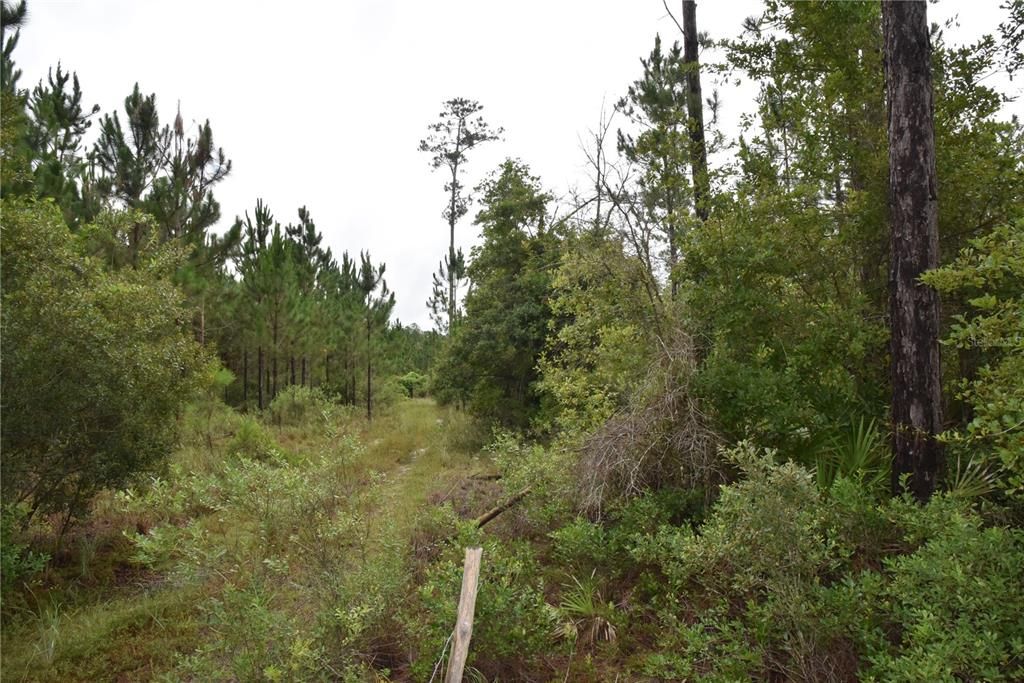 Недавно продано: $114,000 (21.04 acres)