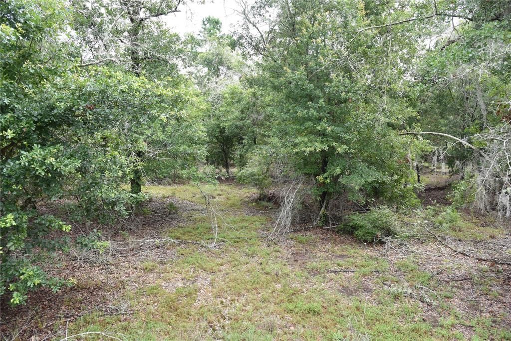 Recently Sold: $114,000 (21.04 acres)