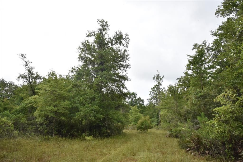 Recently Sold: $114,000 (21.04 acres)