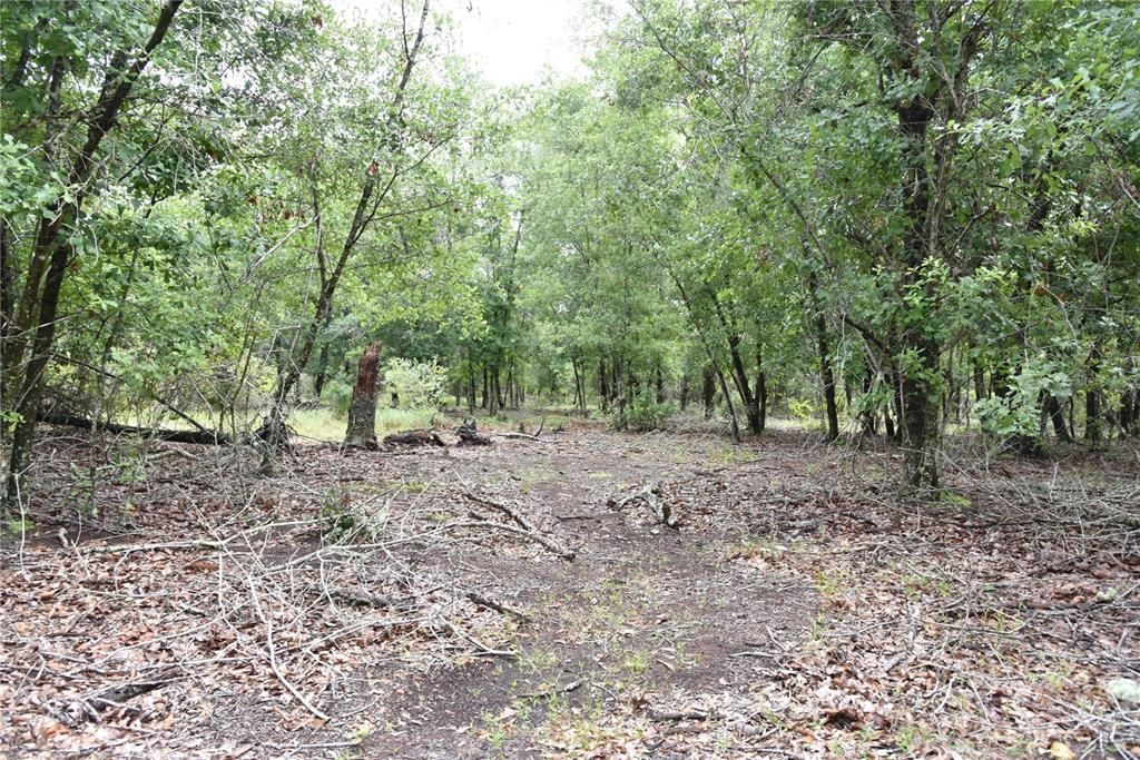 Vendido Recientemente: $114,000 (21.04 acres)