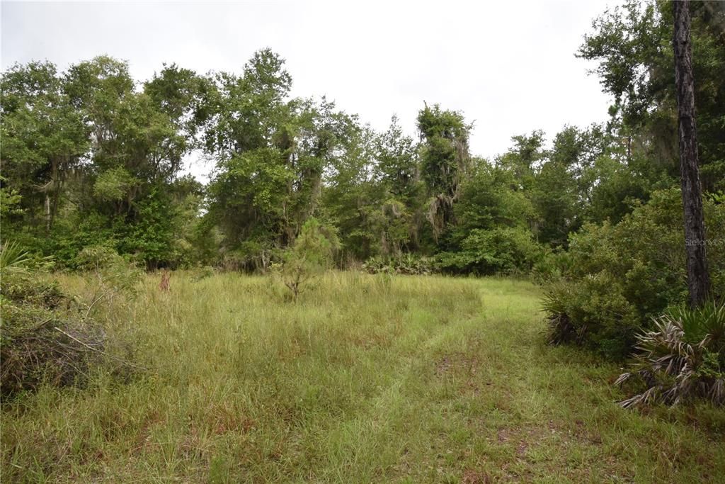 Recently Sold: $114,000 (21.04 acres)