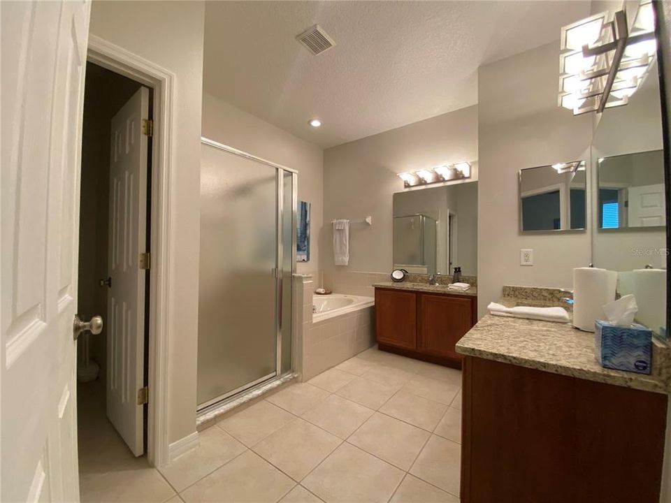 Soaking Tub, Shower Stall & Water Closet in Master Bath