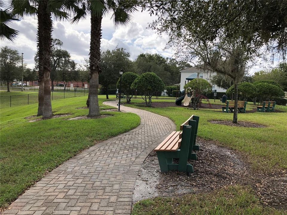 Walking Path through the Community Park