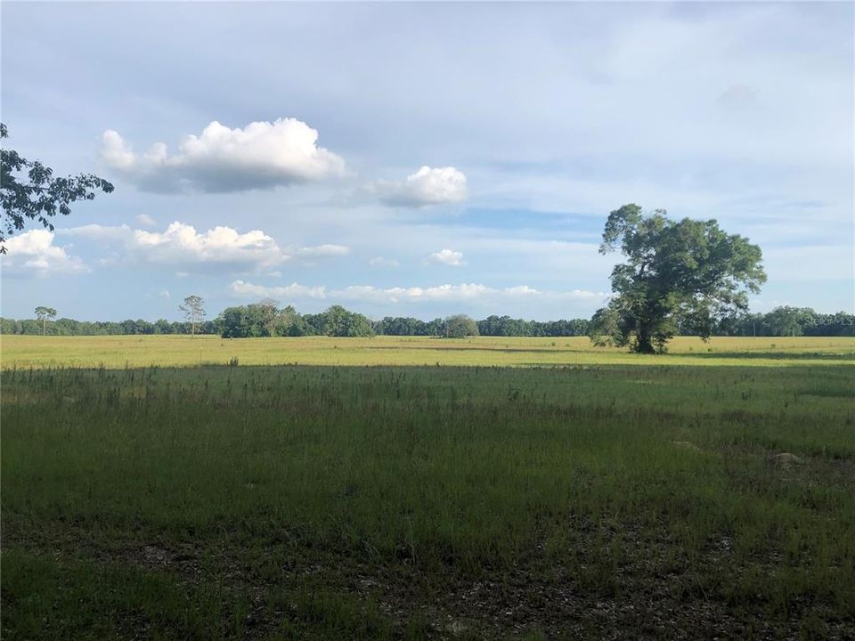 Recently Sold: $89,000 (10.00 acres)