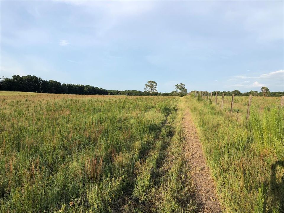 Recently Sold: $89,000 (10.00 acres)