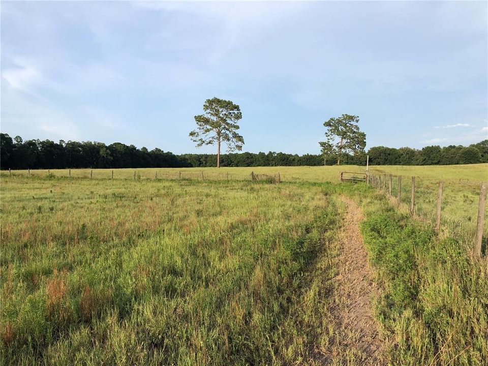 Recently Sold: $89,000 (10.00 acres)