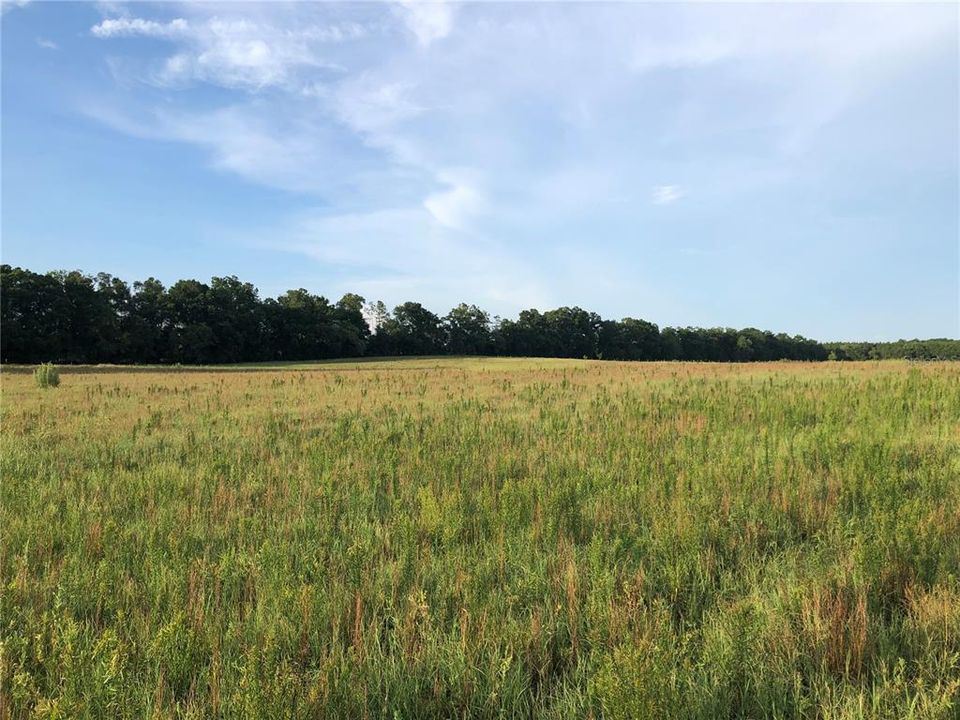 Recently Sold: $89,000 (10.00 acres)