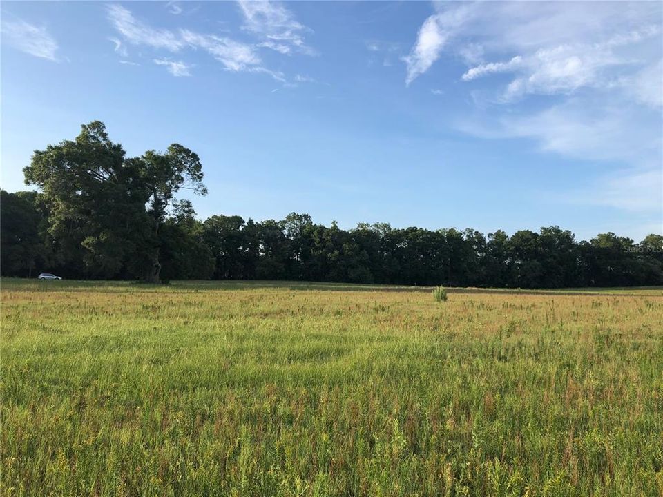 Recently Sold: $89,000 (10.00 acres)