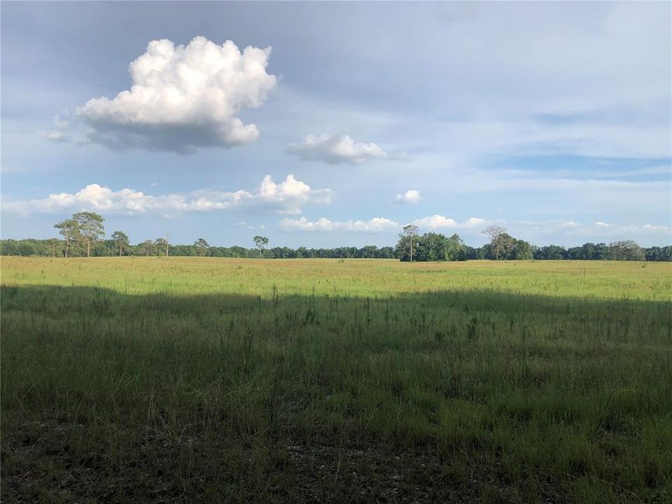 Recently Sold: $89,000 (10.00 acres)