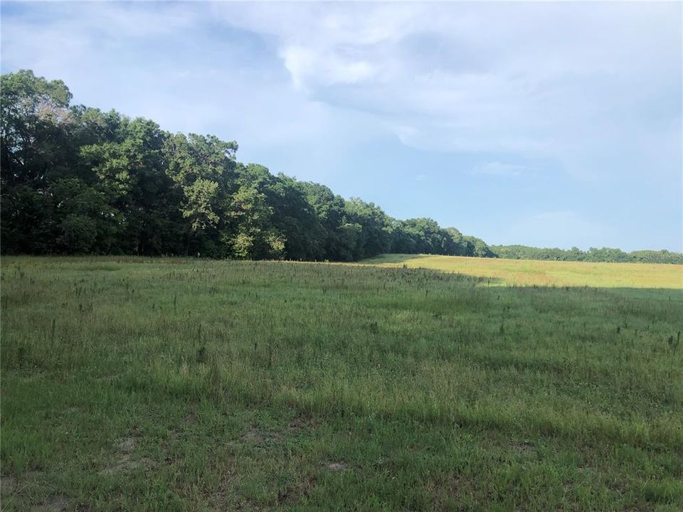 Recently Sold: $89,000 (10.00 acres)