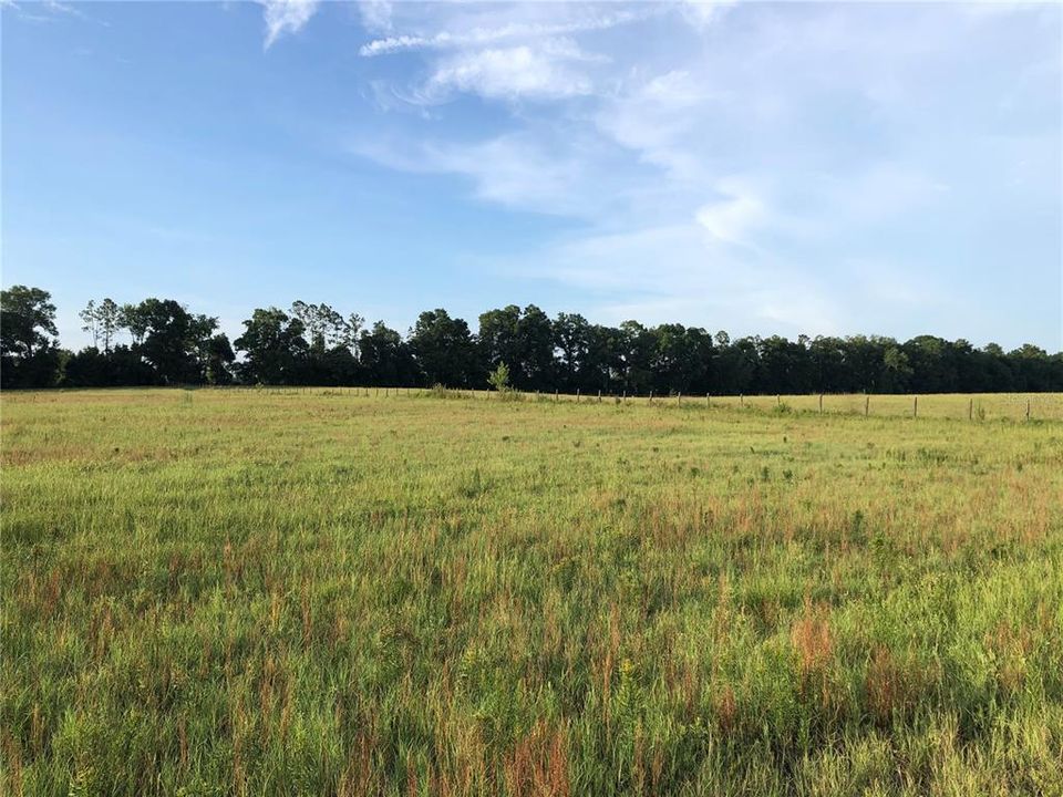 Recently Sold: $89,000 (10.00 acres)