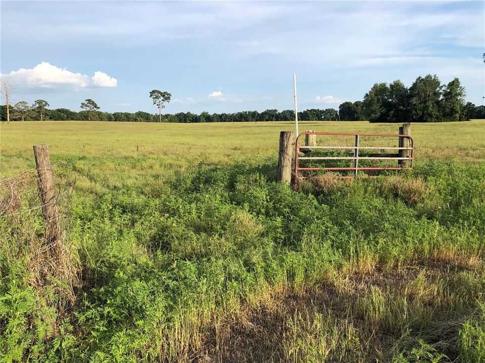 Recently Sold: $89,000 (10.00 acres)