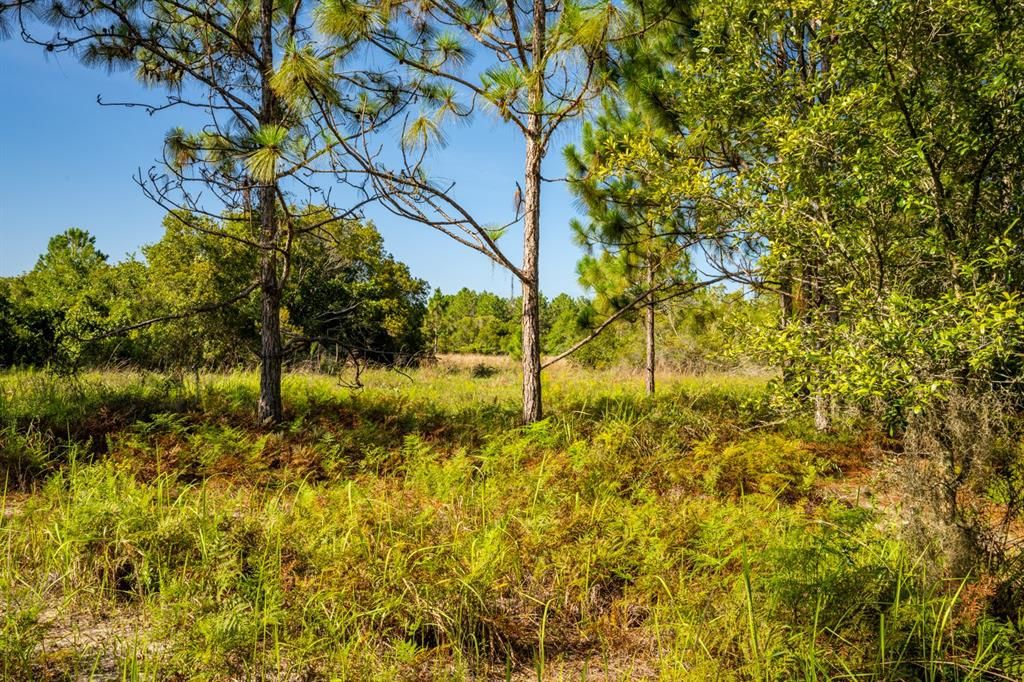 Vendido Recientemente: $350,000 (4.53 acres)