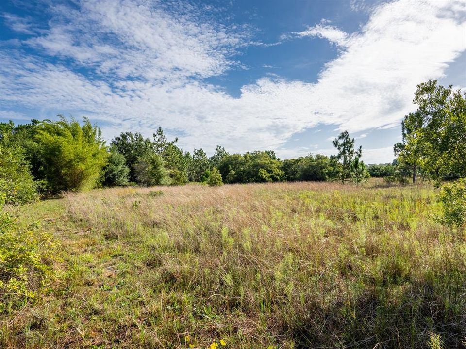 Recently Sold: $350,000 (4.53 acres)