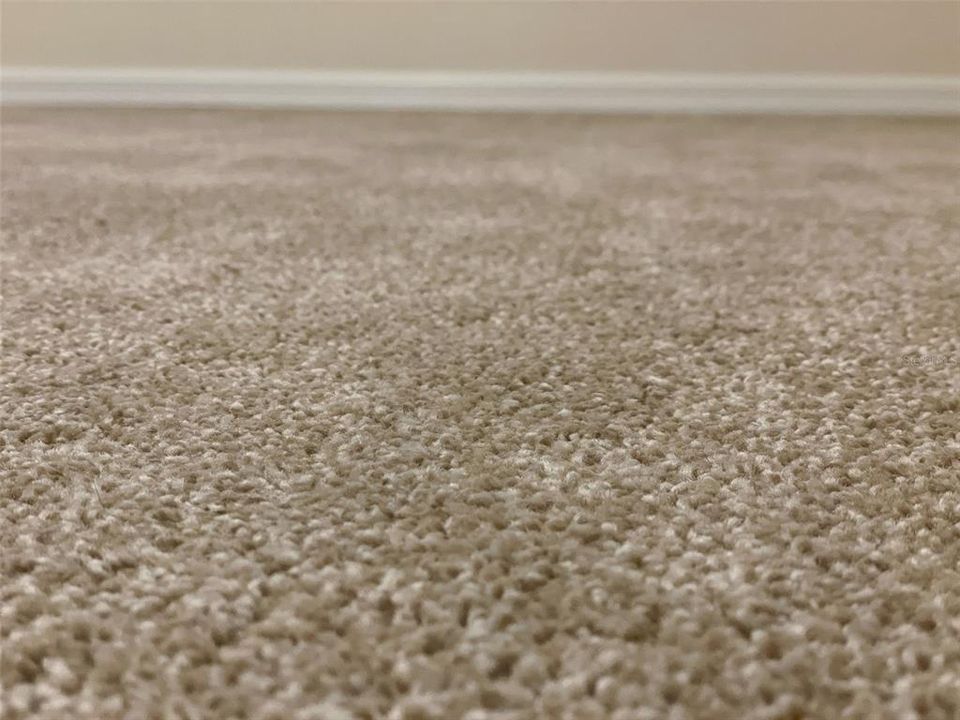 Carpet & wood floors