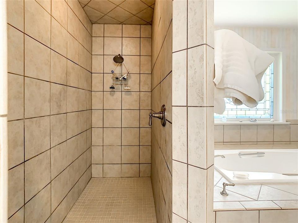 Downstairs Master Bathroom Shower