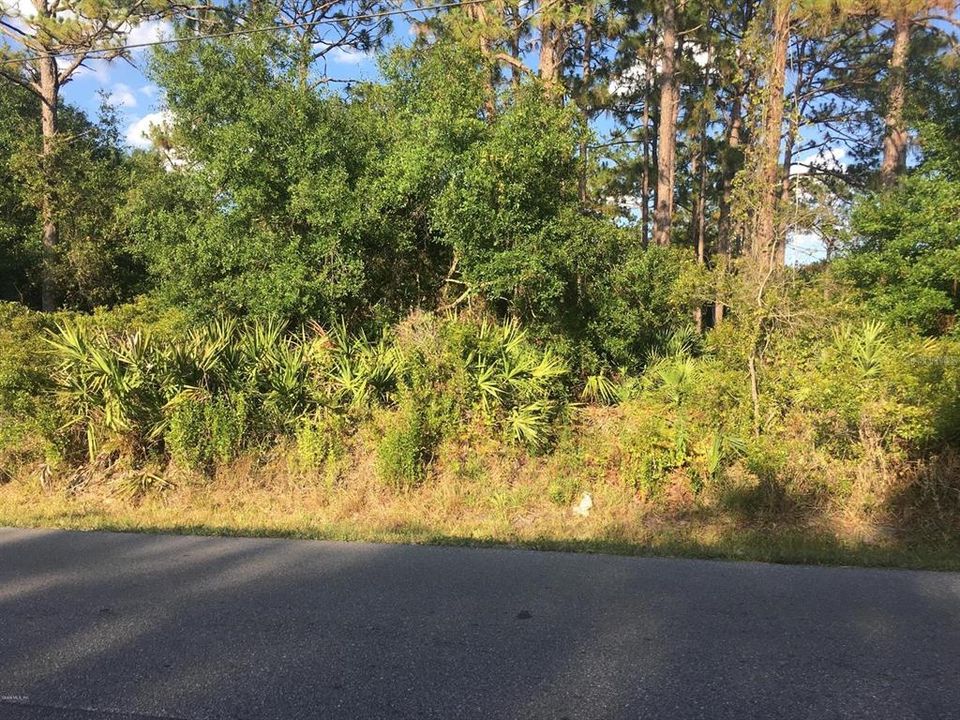 Vendido Recientemente: $45,000 (0.93 acres)