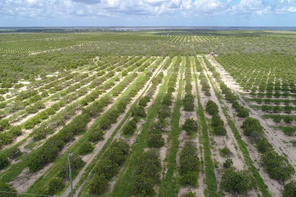 Недавно продано: $75,000 (4.66 acres)