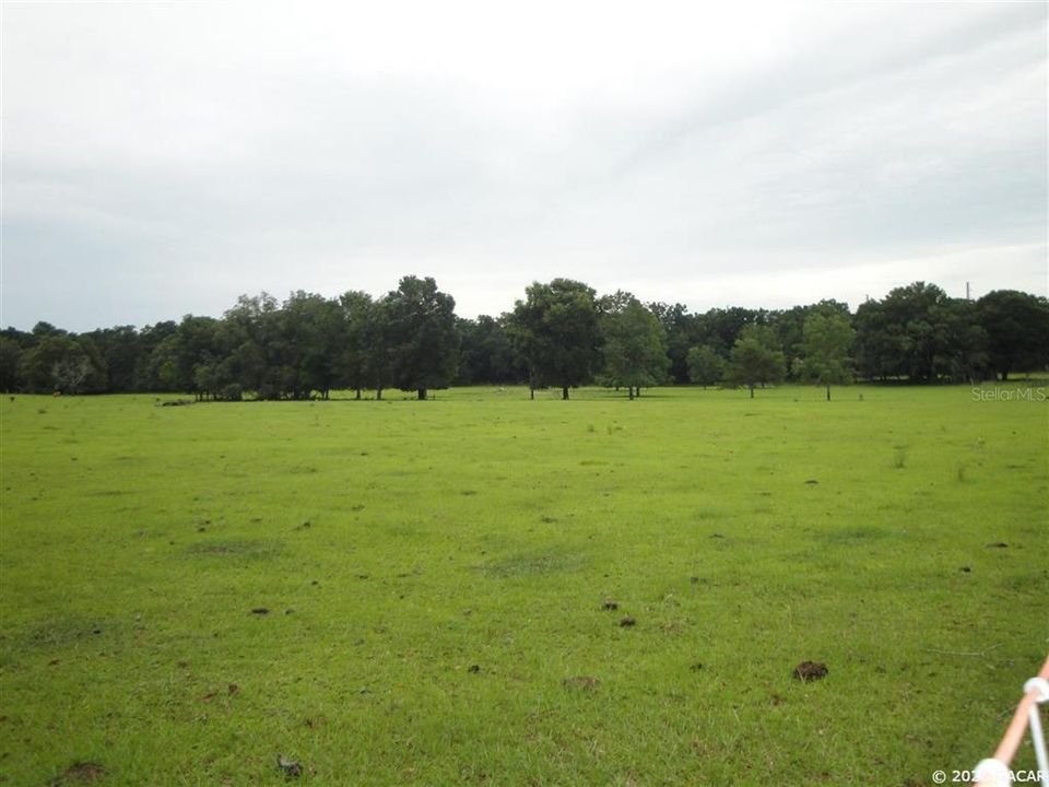 Vendido Recientemente: $1,031,948 (51.60 acres)