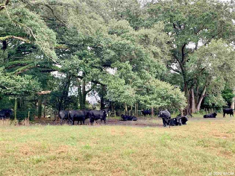 Recently Sold: $516,000 (117.00 acres)