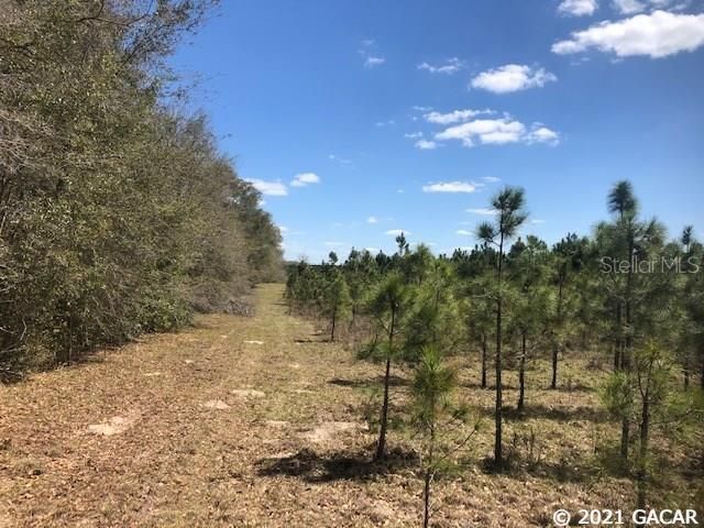 Recently Sold: $159,900 (19.50 acres)