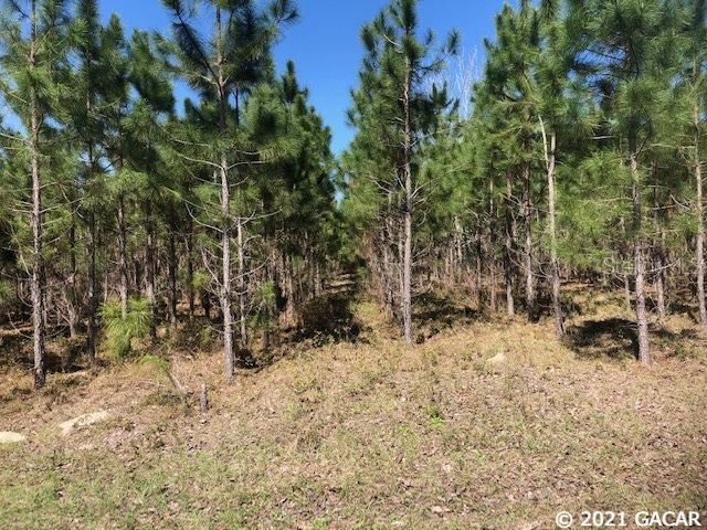 Recently Sold: $159,900 (19.50 acres)