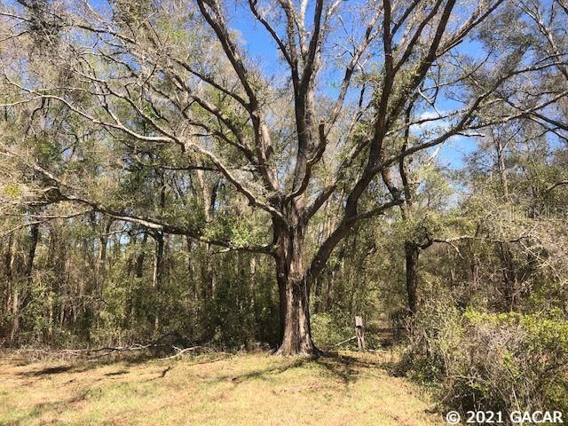 Recently Sold: $159,900 (19.50 acres)