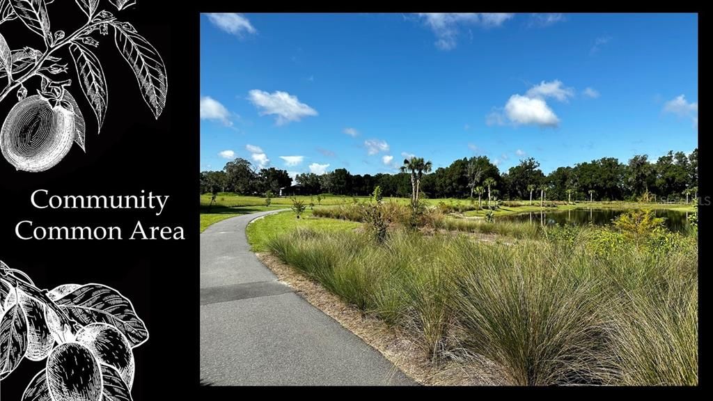 Active With Contract: $263,000 (1.00 acres)