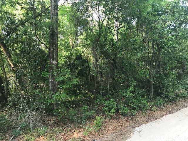 Recently Sold: $12,500 (0.24 acres)