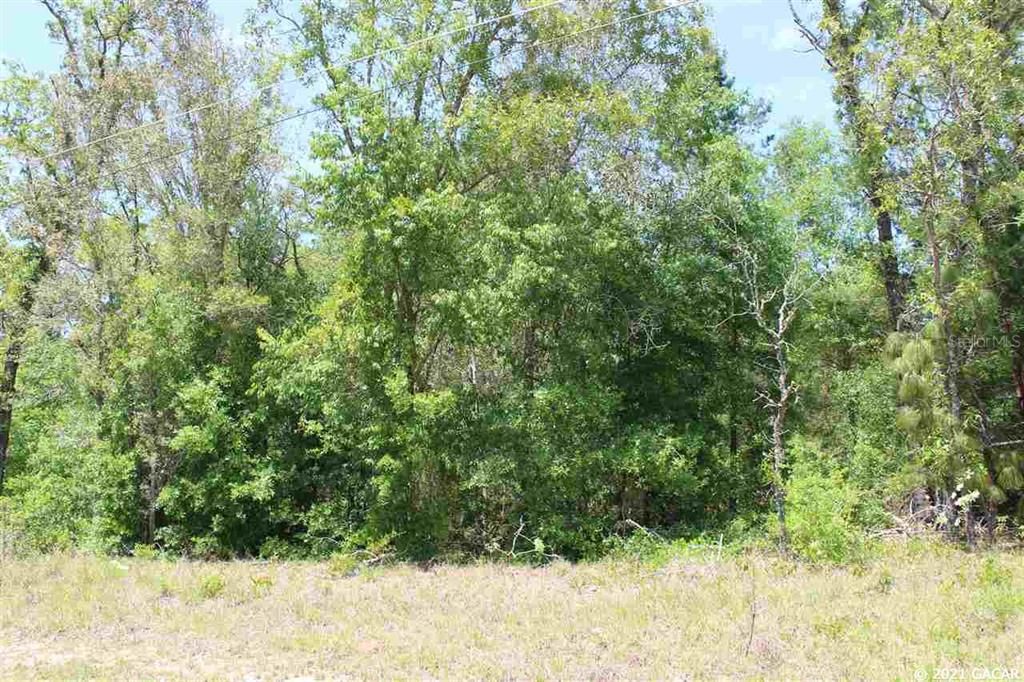 Recently Sold: $3,500 (0.34 acres)