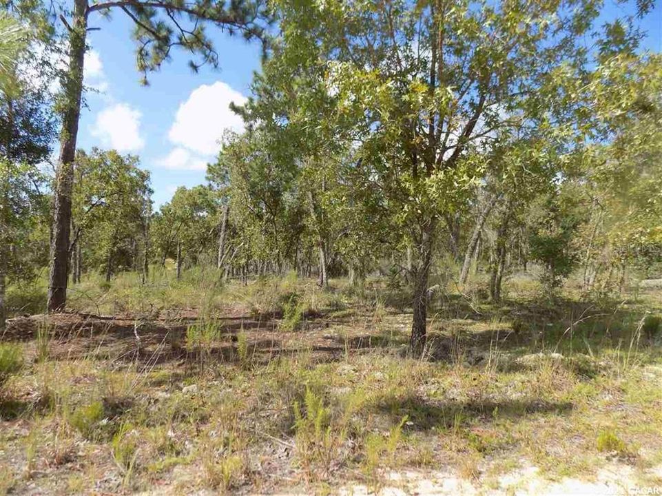 En Venta: $24,900 (0.84 acres)