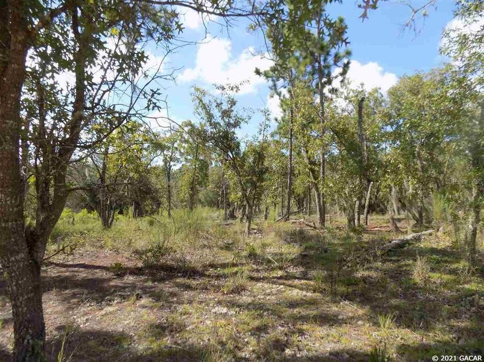 En Venta: $24,900 (0.84 acres)