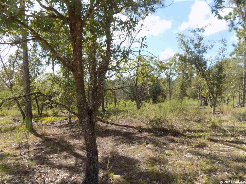 En Venta: $24,900 (0.84 acres)