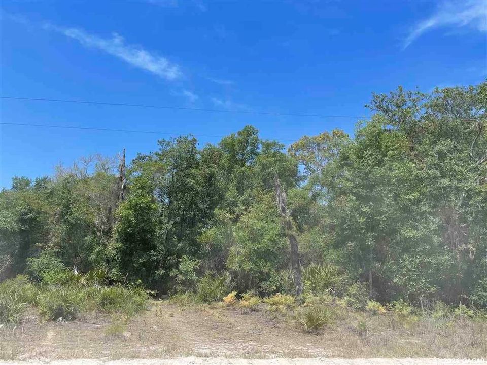Recently Sold: $30,000 (5.00 acres)