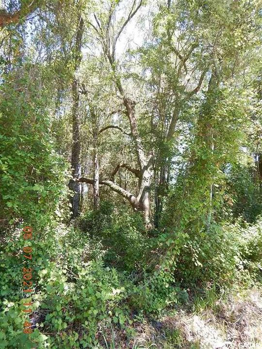 Recently Sold: $39,000 (2.24 acres)