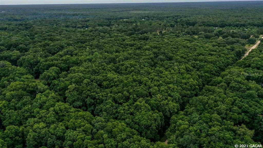 Недавно продано: $160,000 (12.50 acres)