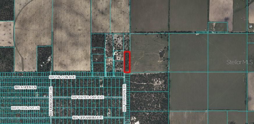 3 acres zoned A-1 at the north end of Terrapin Dr. Just north of Rainbow Lakes Estates