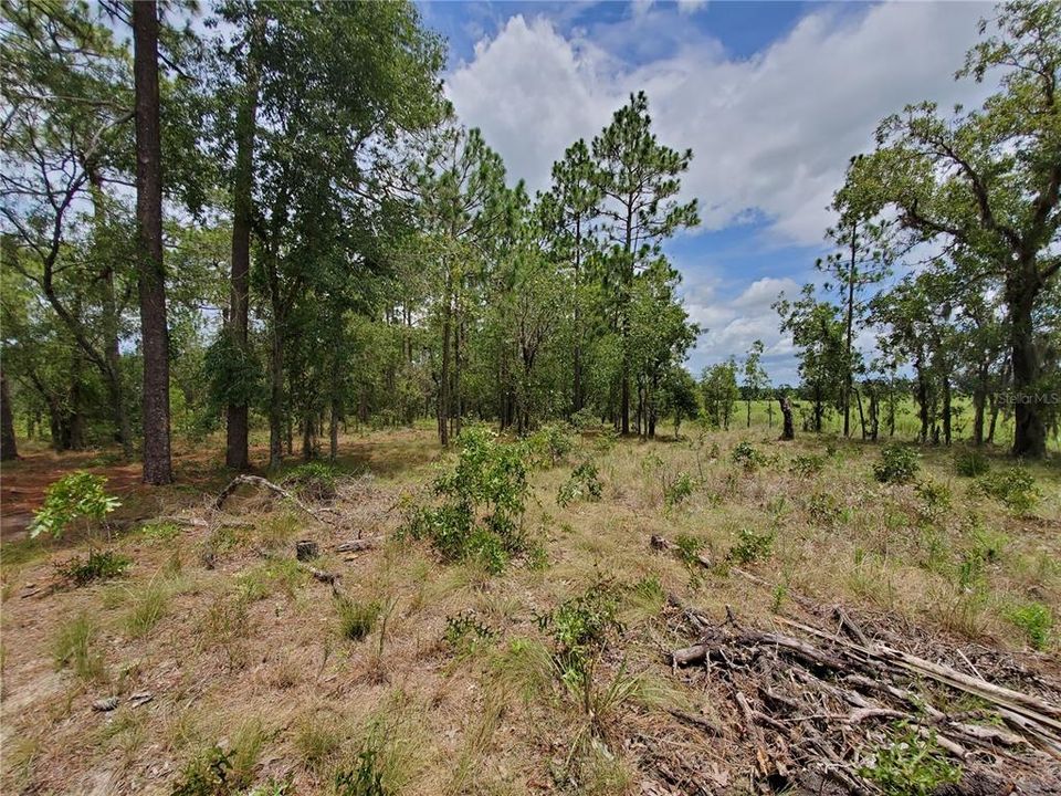 Recently Sold: $65,000 (3.00 acres)