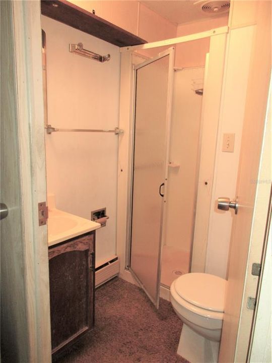 Master bath with stand-in shower